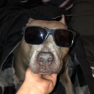 Meet your Posher, Elijah